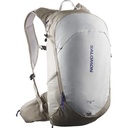 Salomon Mochila Trailblazer 20L Gris